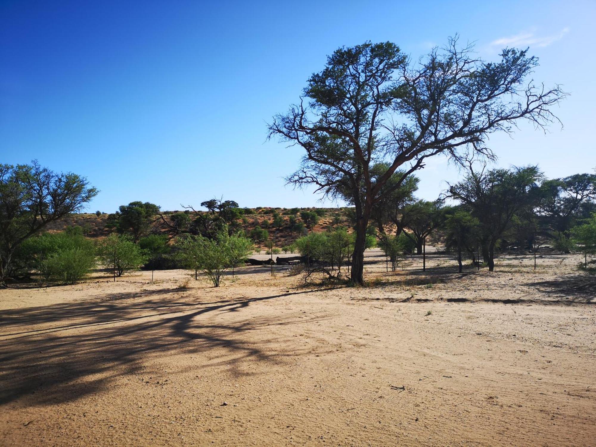 Terra Rouge Guestfarm & Sonstraal Farmhouse Koes ภายนอก รูปภาพ